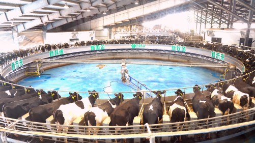 CA88����(�й���) - Ψһ�ٷ���վ